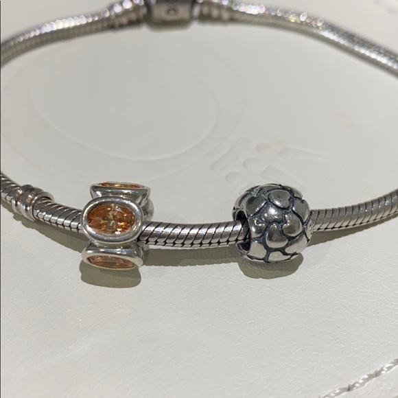 Pandora Bundle - Picture 2 of 4